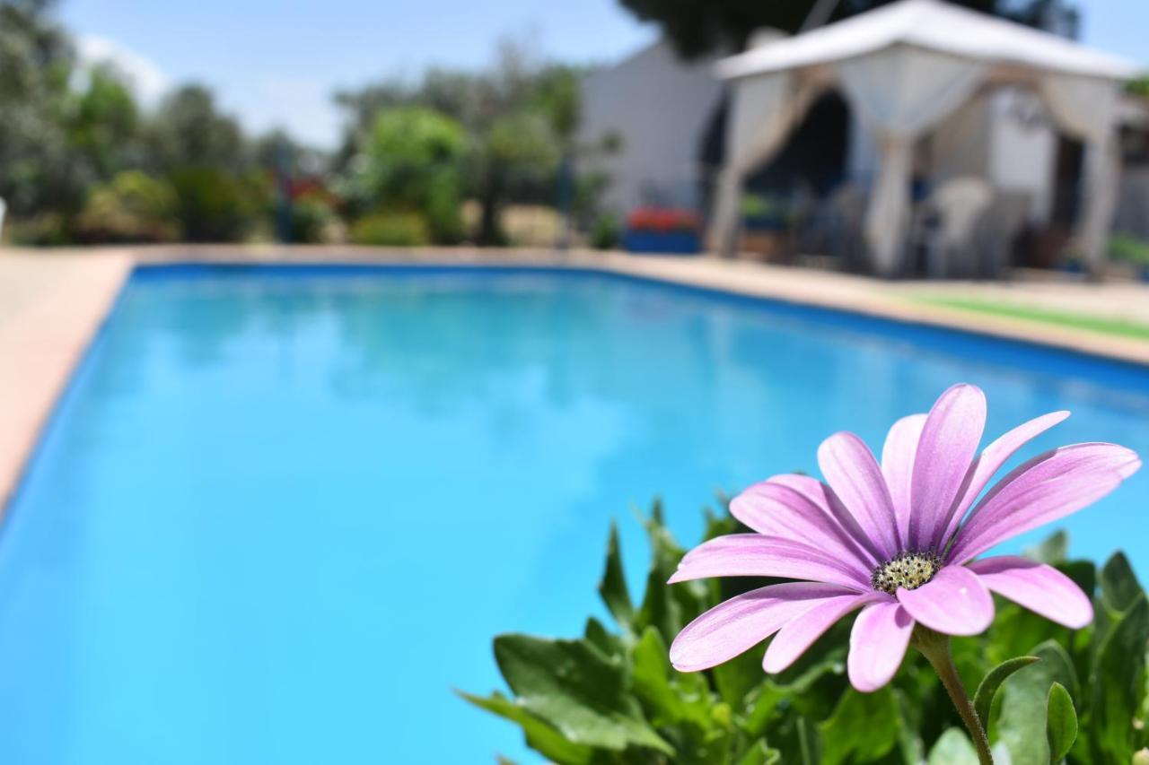 Holiday home Rurales La Loma *