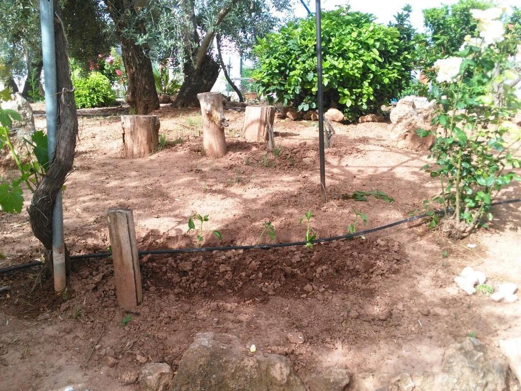 Rurales La Loma *