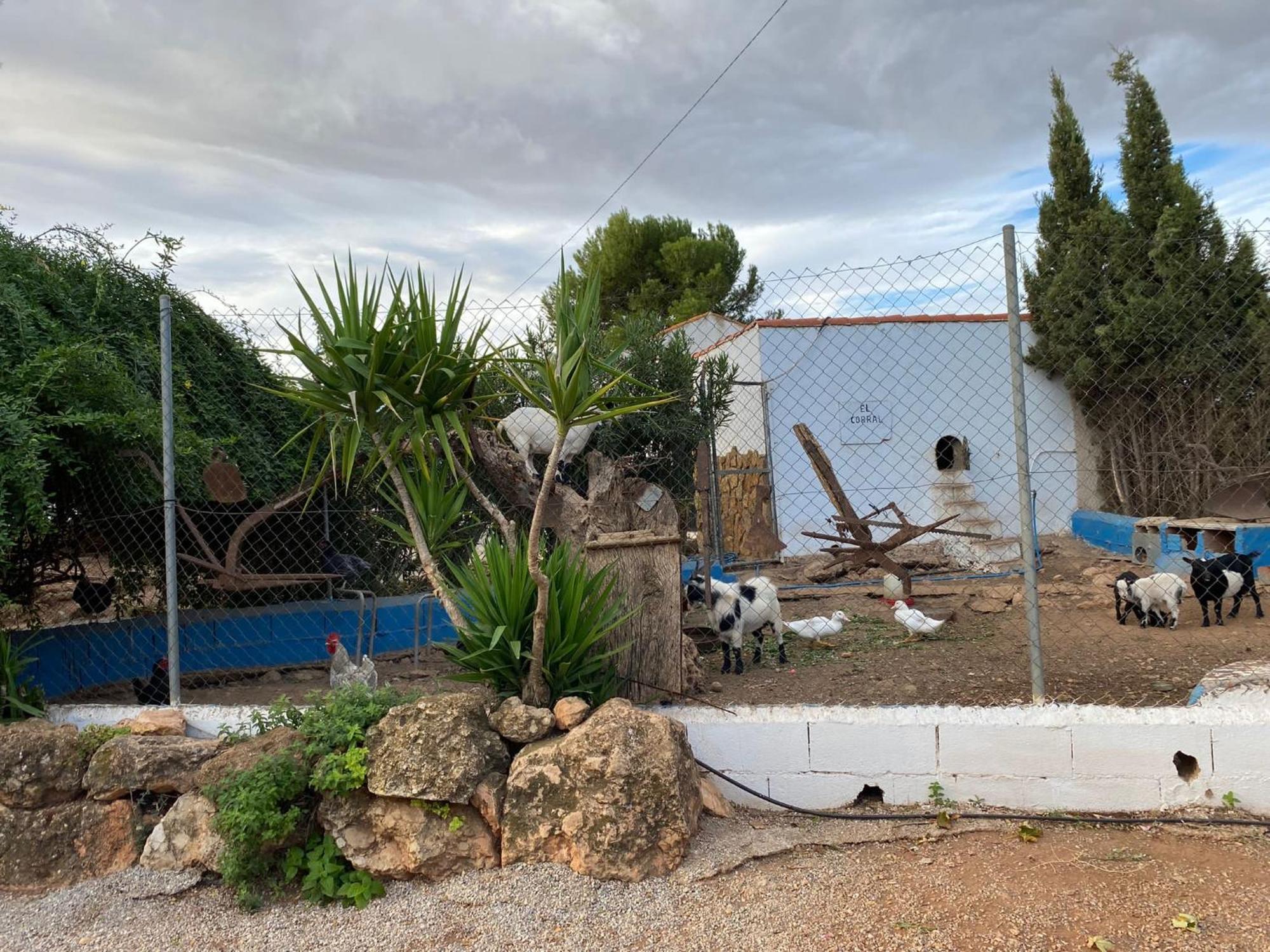 Holiday home Rurales La Loma Pozo Alcon