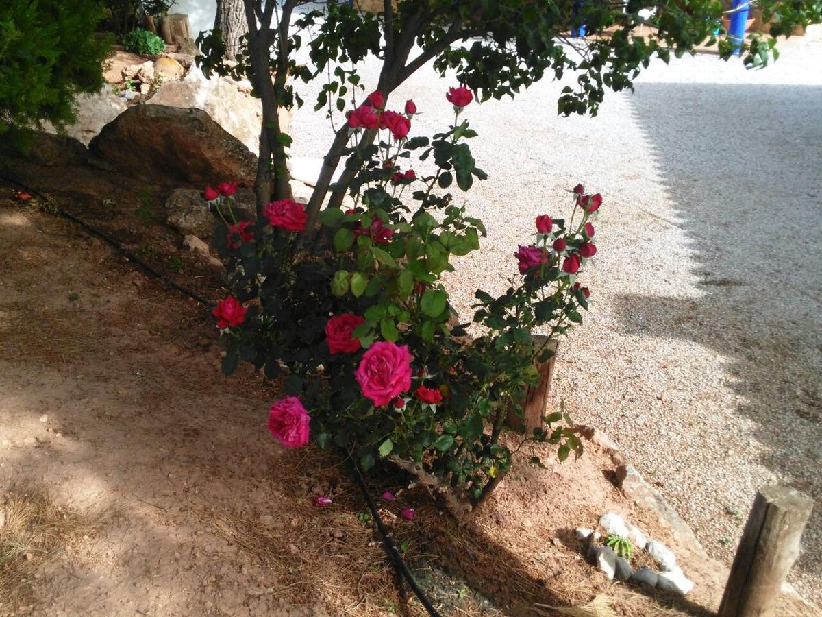 Holiday home Rurales La Loma Pozo Alcon