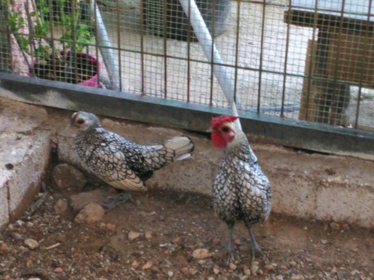 Rurales La Loma Holiday home *