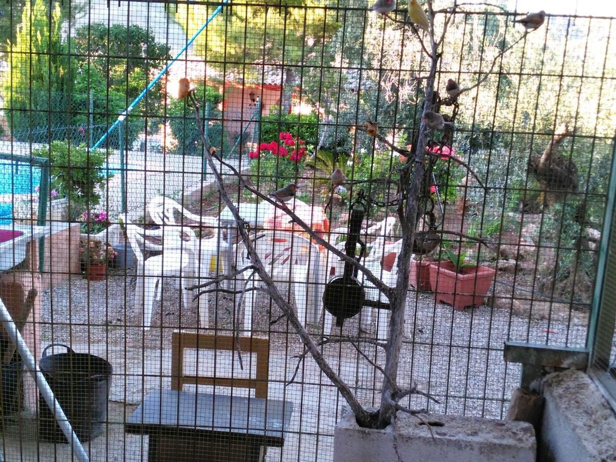 Holiday home Rurales La Loma *